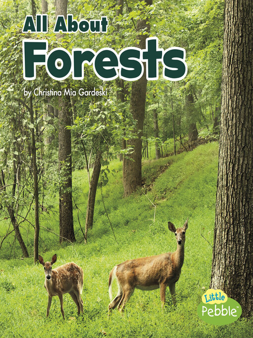Title details for All About Forests by Christina Mia Gardeski - Available